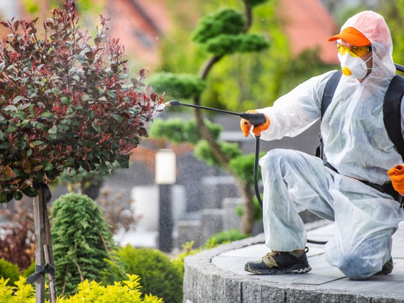 Üçkuyular Haşere İlaçlama